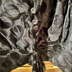 Free People Black Velvet Polka Dot Blouse